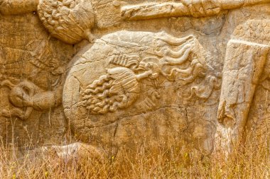 Nakş-Rustam kabartma detay