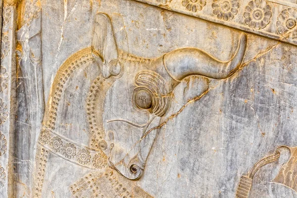 Touro alívio detalhe persépolis — Fotografia de Stock