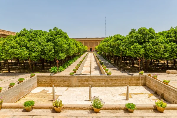 Shiraz Cittadella vista sul giardino — Foto Stock