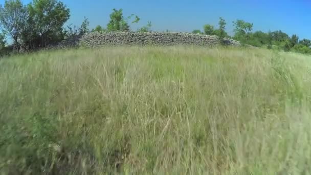 Stenmurar i Dalmatiens inland, Aerial shot — Stockvideo