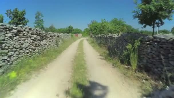 Stone walls in Dalmatian hinterland, aerial shot — Stock Video