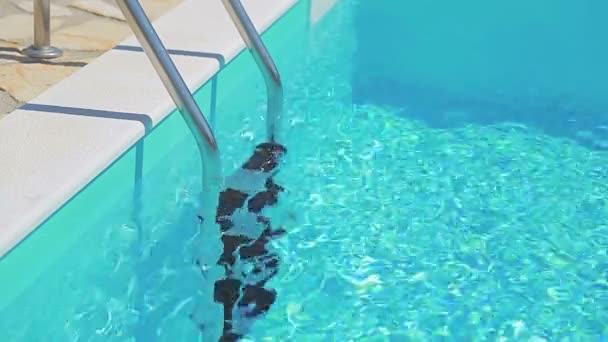 清澈的游泳池中的水 — 图库视频影像