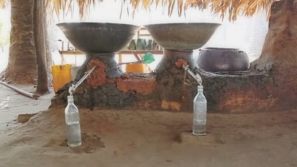 Production of palm brandy — Stock Video