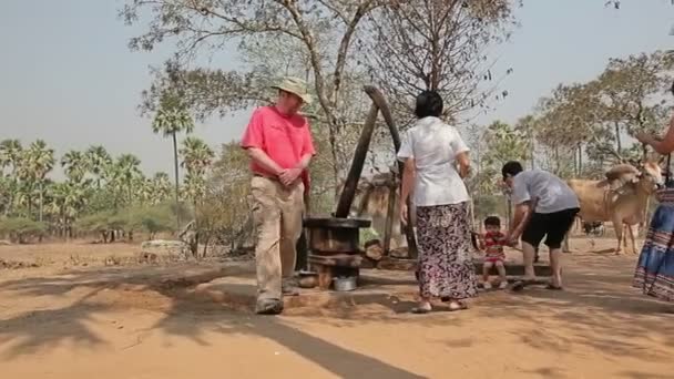 Примитивная мельница для сжатия пальмового масла — стоковое видео