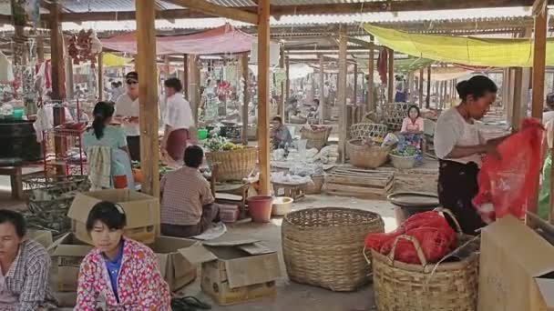 स्थानीय बाजार में सब्जियां बेचना — स्टॉक वीडियो
