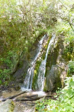 Tatlı su, yemyeşil ve yosunlu kayalarla çevrili Zumberak ormanındaki Sopot şelalesinden aşağı akar ve huzurlu bir yaz manzarası yaratır..