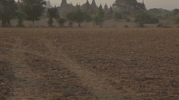 Antico stupa nel Vecchio Bagan — Video Stock