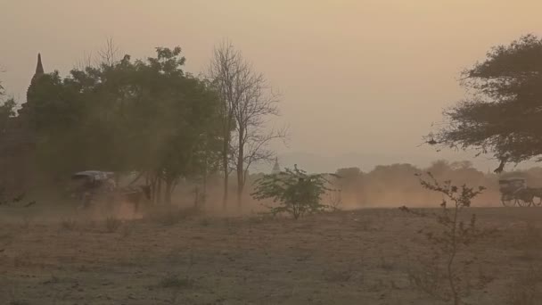 Sunset in Bagan with a horse cart — Stock Video