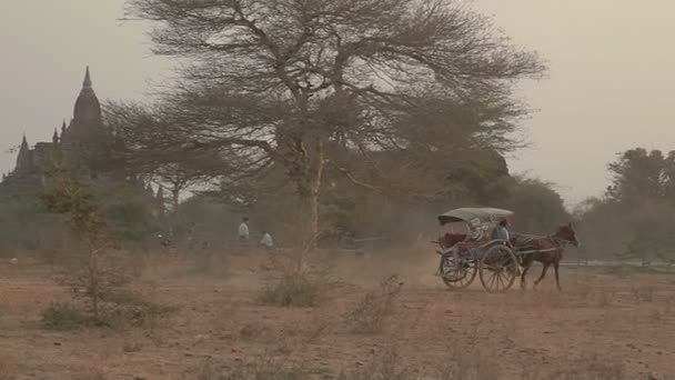 Puesta de sol en Bagan con un carro de caballos — Vídeos de Stock