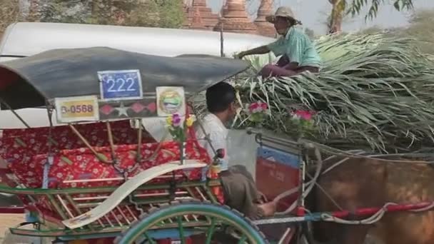 Turistické užívat jízdu, Bagan — Stock video