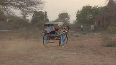 Araba yolculuğu, Bagan alarak turizm