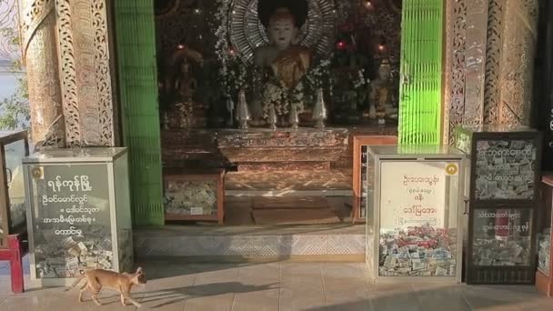 Boeddha altaar in de buurt van Bupaya stoepa in Bagan — Stockvideo