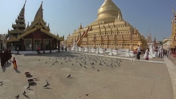 在 Shwezigon 塔观光旅游 — 图库视频影像