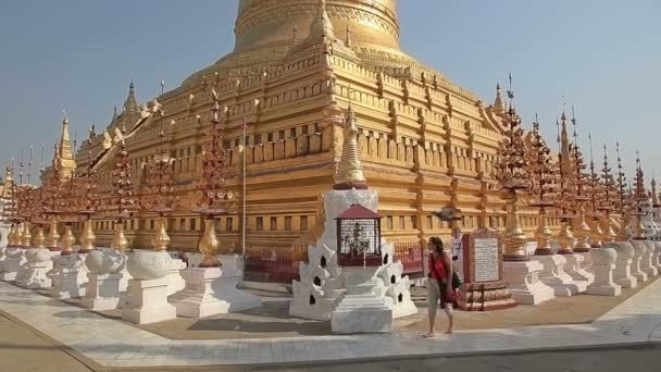 Touristen besichtigen die Shwezigon-Pagode — Stockvideo