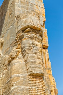 Persepolis Lamassu heykeller