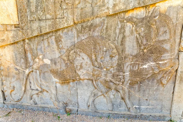 Détail relief Lion Persépolis — Photo