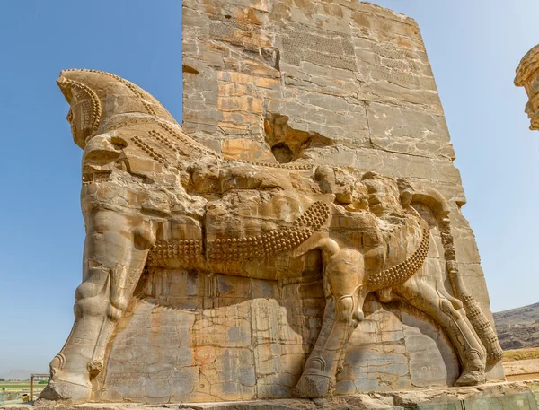 Персеполіс Lamassu статуї — стокове фото