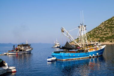 Dubrovnik yakınındaki balıkçı tekneleri