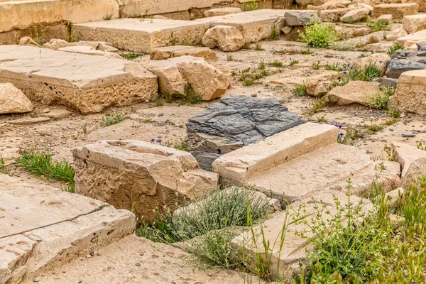 Pasargadae archäologische Stätte — Stockfoto
