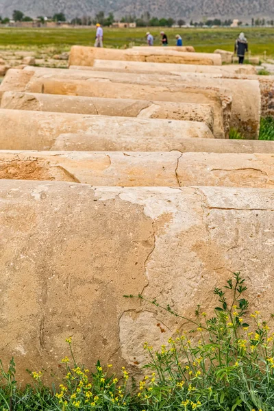 Columnas de Pasargadae permanece —  Fotos de Stock