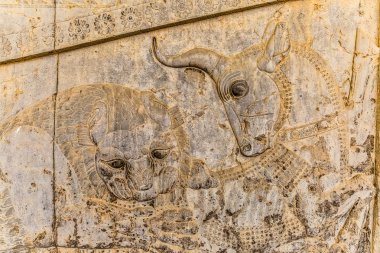 Persepolis aslan ve boğa kabartma ayrıntılarıyla