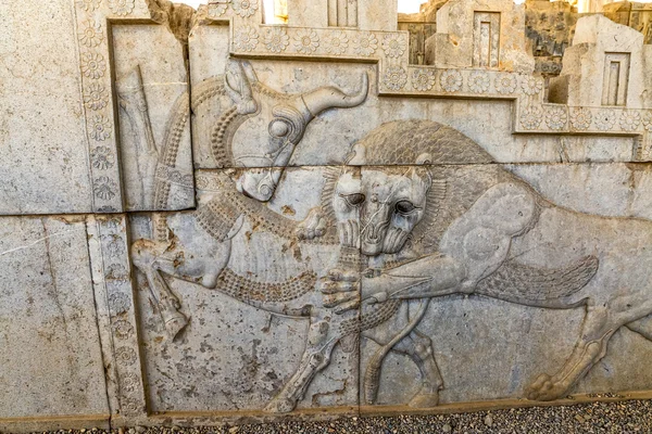 Dettaglio rilievo leone e toro a Persepolis — Foto Stock