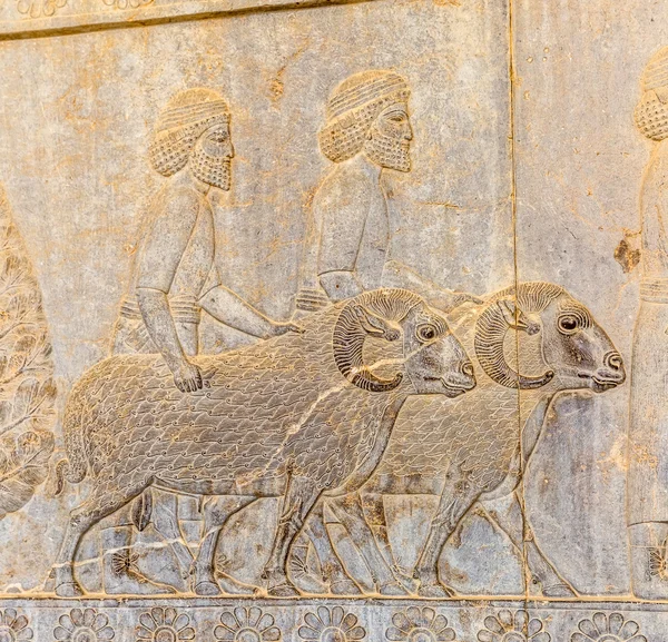 Residents of historical empire with animals in Persepolis — Stock Photo, Image