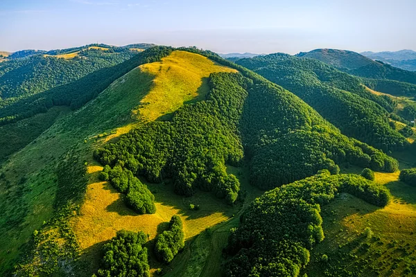 Montenegró erdő - antenna — Stock Fotó