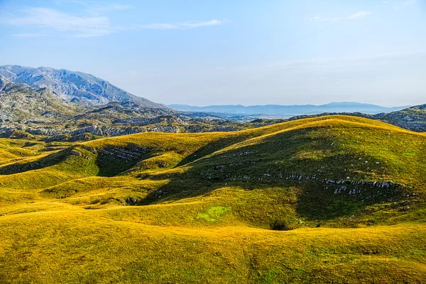 Het plateau op de berg in Montenegro — Stockfoto