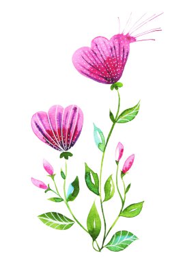 Beyaz arkaplanda pembe çiçekler