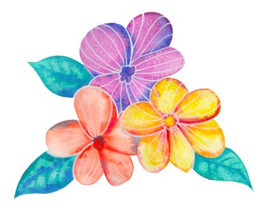 Çiçeklerbir beyaz arka plan