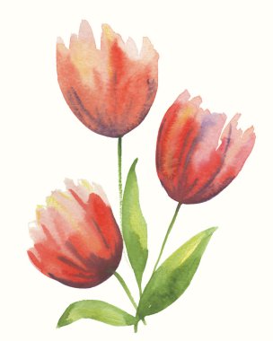 büyük kırmızı tulps