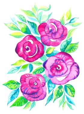 Suluboya pembe güller