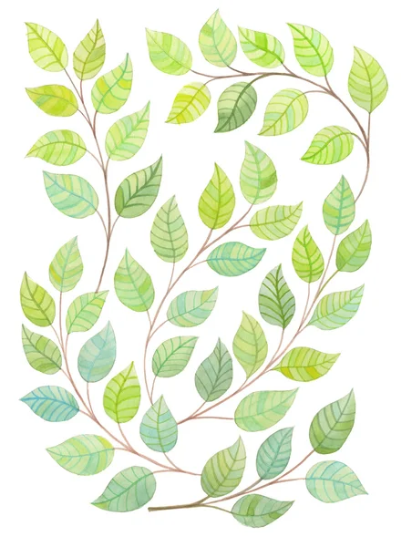 Leaves and branches  in watercolor — Stock Photo, Image