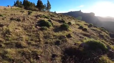 Yürüyerek ve Tejeda 'nın manzarasını izleyerek