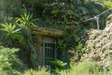 Ormanın ortasında eski bir evin manzarası.