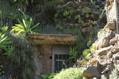 Ormanın ortasında eski bir evin manzarası.