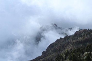 Dağlar ve ağaçlar bulutların üzerinde