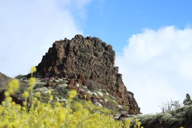 Çayırda kaya oluşumu