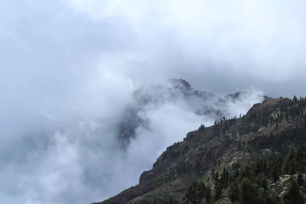 Berge Und Bäume Über Den Wolken — Stockfoto