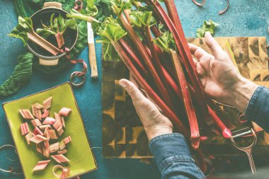 Taze olgun, sağlıklı ravent sapları tutan kişinin kısmi görüntüsü.