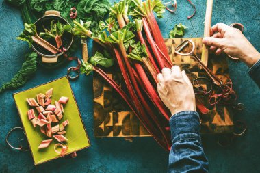 Taze olgun, sağlıklı ravent sapları tutan adamın kısmi görüntüsü.