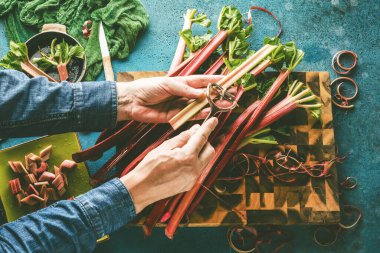 Taze olgun, sağlıklı ravent sapları tutan adamın kısmi görüntüsü.