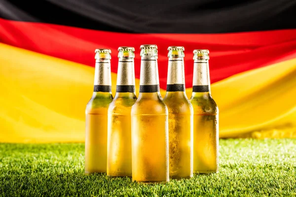 Nahaufnahme Von Bierflaschen Auf Grünem Rasen Deutsche Nationalflagge — Stockfoto