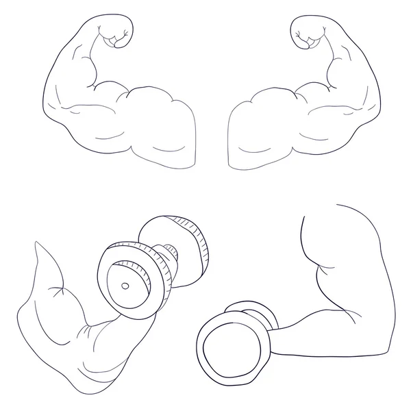 Desenho animado mão livre braço forte flexão bíceps esporte —  Vetores de Stock