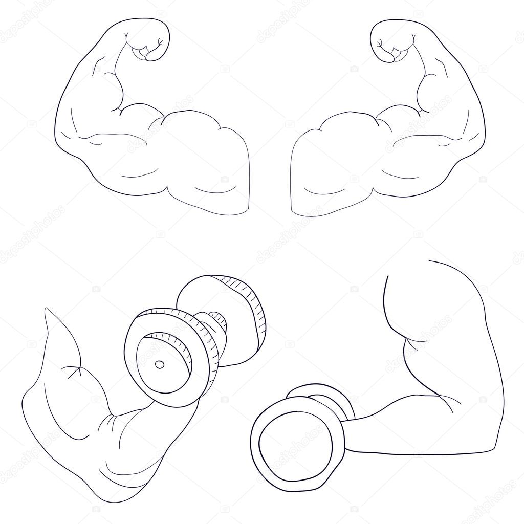 Freehand cartoon strong arm flexing bicep sport Stock Vector Image by  ©dasha122007 #116261250