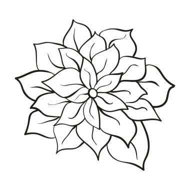 Beyaz bir arka plan üzerinde hassas ışık dağılımı ile çiçek