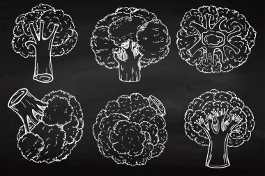 Brokoli modern grunge tarzında. El çizimi. Devre. Sağlıklı beslenme. Zayıflama. Tebeşir tahtası simgesi. Tasarımın için.