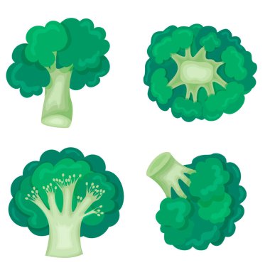 Modern düz tarzda yeşil brokoli. Sağlıklı beslenme. Zayıflama. Beyaz arkaplanda simge izole edildi. Tasarımın için.