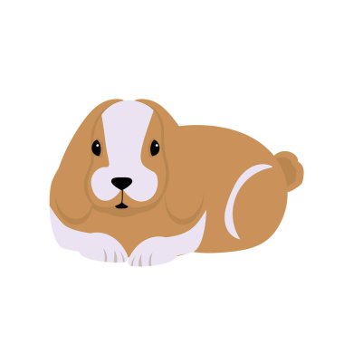 Tavşan. Modern düz tarzda vektör illüstrasyonu. Beyaz arkaplanda izole edilmiş tavşan simgesi. Tasarımın için..